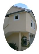 Exterior paints