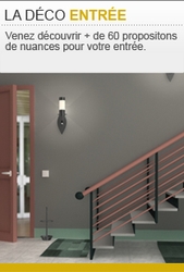 Découvrez notre nuancier interactif dédié à la peinture entrée