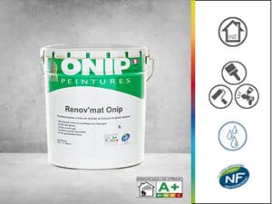 peinture anti tâches renov mat onip
