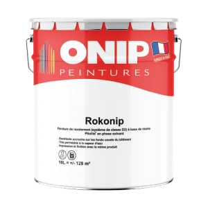 peinture de façade rokonip