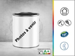 peinture satinée satonip hydro g