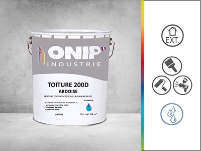 peinture toiture 200D