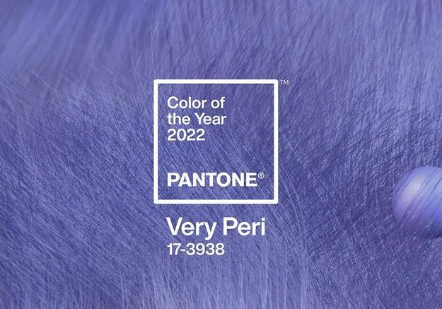 bleu pervenche pantone